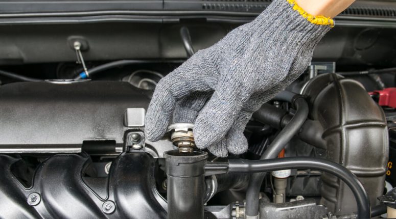 How To Check for a Leaked Radiator (And Tips to Maintain Your Car)